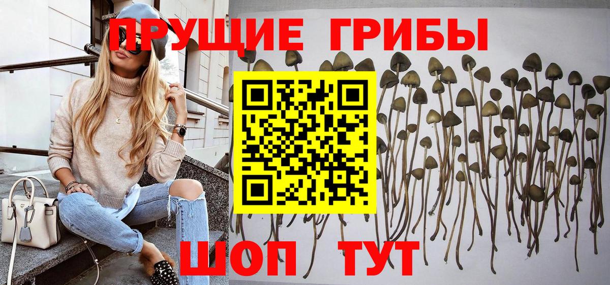 Галлюциногенные грибы Psilocybe  Вход с VPN  Нефтекамск 