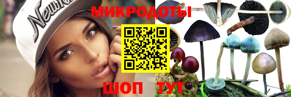Галлюциногенные грибы GOLDEN TEACHER Нефтекамск
